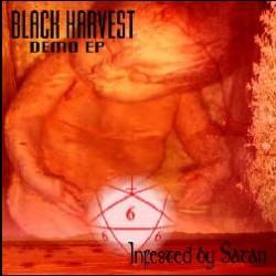 Black Harvest (GER) : Infested by Satan